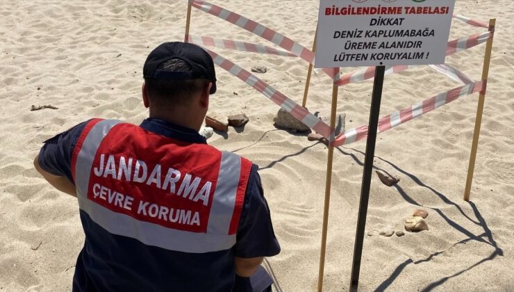 Edirne’de kaplumbağa üreme alanlarına denetim