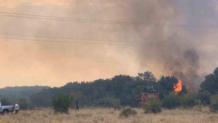 Edirne’de orman yangını anızlık alana sıçradı: 2 baraka zarar gördü