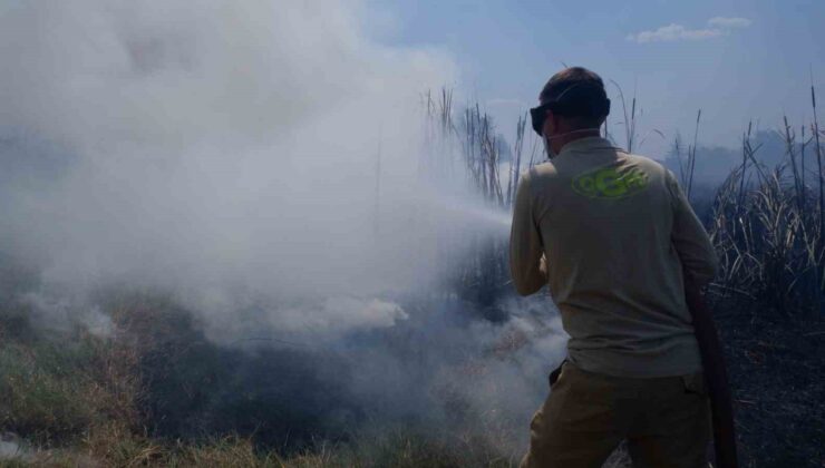 Edirne’de yürekleri ağza getiren yangın