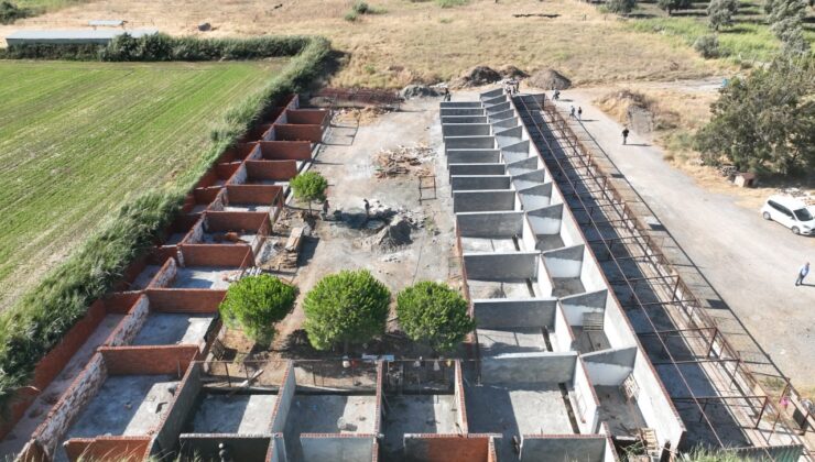 Edremit’te can dostlar yuvasına kavuşuyor