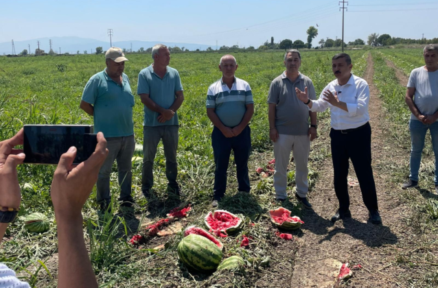 Milletvekili Türkoğlu, üreticinin çaresizliğini böyle yorumladı: