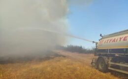 İpsala’daki orman yangında 200 dekarlık alan zarar gördü