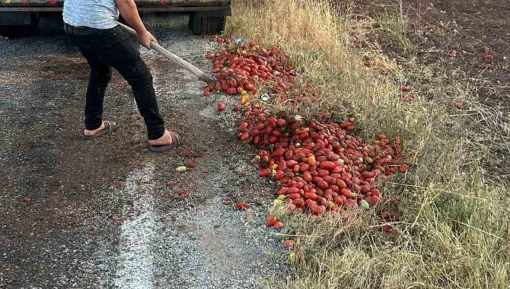 İzmir’deki yangını söndüren itfaiye erleri, Manisa’da yola saçılan domatesleri temizledi