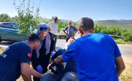 İznik’te bir otomobil sebze tezgahına çarptı