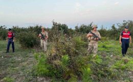 Jandarma fındık hırsızlarına karşı nöbette