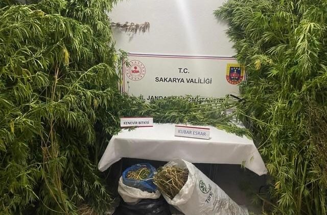 Jandarmadan uyuşturucuya geçit yok