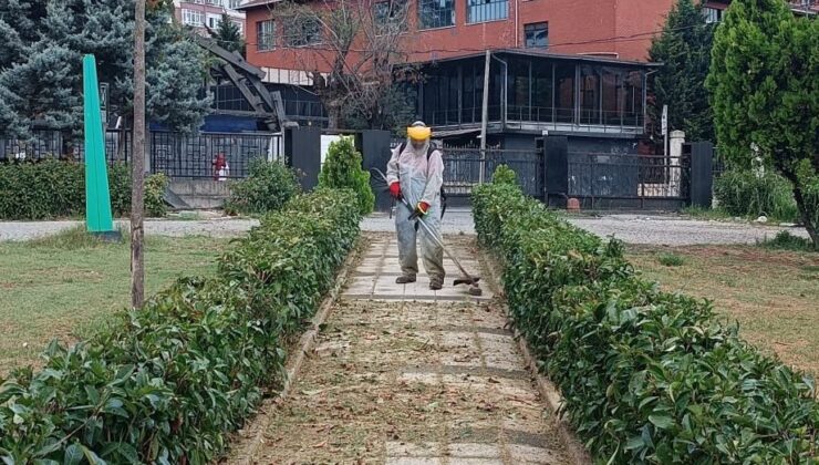 Kağıthane Belediyesi peyzaj çalışmaları hızla devam ediyor