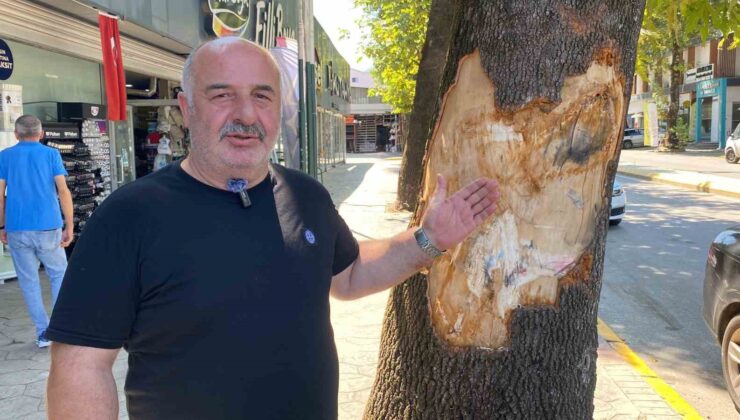Kamyon faciasından canlarını son anda kurtardılar