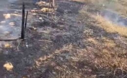 Karacabey’de otluk alanda çıkan yangın korkuttu