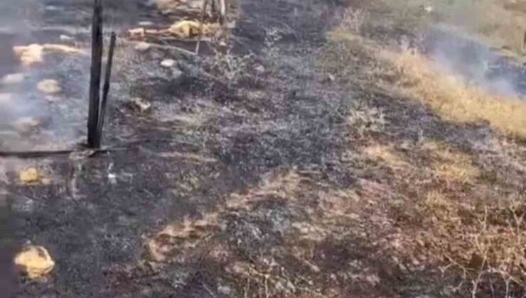 Karacabey’de otluk alanda çıkan yangın korkuttu