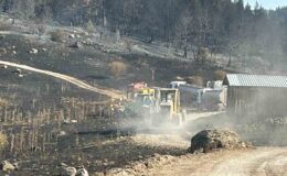 Körfez Belediyesi’nden Ankara ve Bolu arasındaki yangına destek