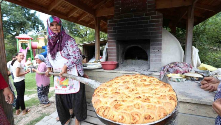 Köy fırınlarının bakımı yapılıyor