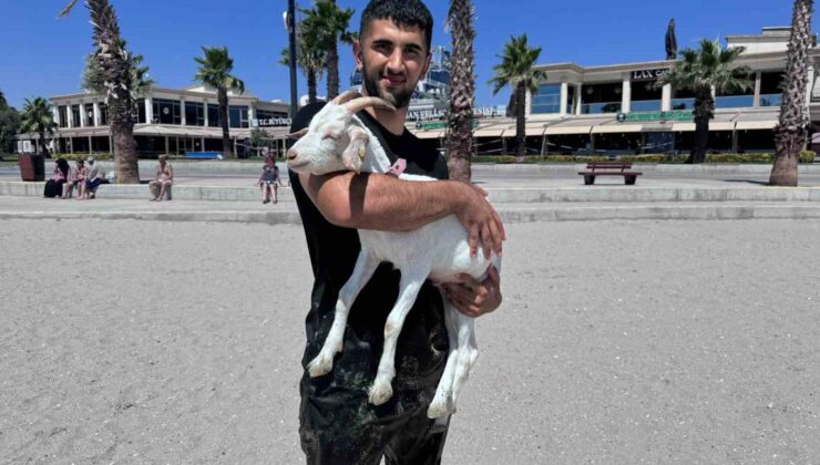 Kurban Bayramı’ndan bu yana baktığı keçiyi evcilleştirdi