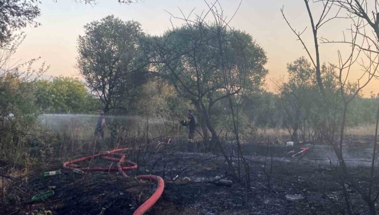 Mangaldan çıkan yangın 2 dönümlük alanı küle çevirdi