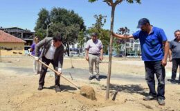 Osmangazi’deki park sayısı 691’e çıkıyor