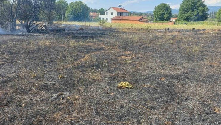 Pazaryeri’nde çıkan arazi yangını korkuttu