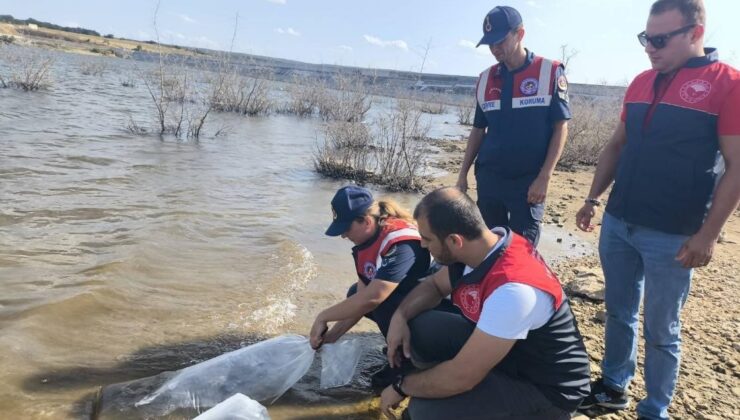 Pınarhisar’da barajlara balık bırakıldı