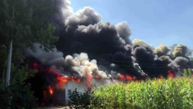 Sakarya’da korkutan yangın: Ahşap atölyesi alev topuna döndü