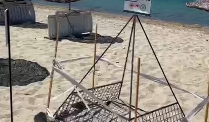 Saros Körfezi’nde yavru caretta carettalara koruma