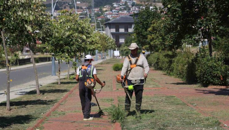 Serdivan’da yaz bakımı devam ediyor