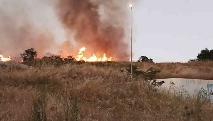 Tekirdağ’da Çırçır Tepesi’nde yangın
