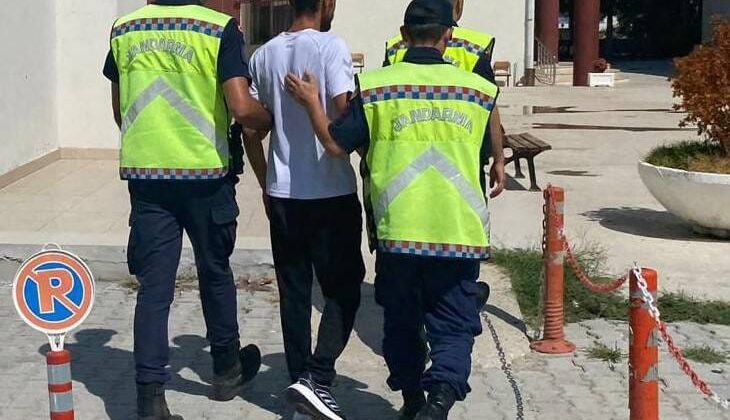 Yalova’da 181 kök Hint keneviri ele geçirildi: 1 gözaltı