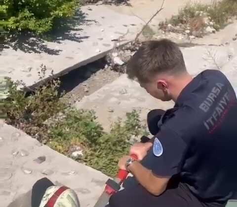 Yaralı martıyı iftaiye ekipleri kurtardı