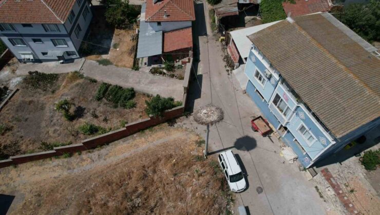 ’Yaren’ leylek Adem amcaya veda etti