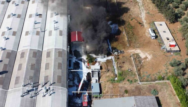 Yat fabrikasındaki yangın 4,5 saat sonra kontrol altına alındı