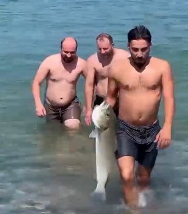Yüzmek için girdiği denizde eliyle 6 kiloluk levrek yakaladı