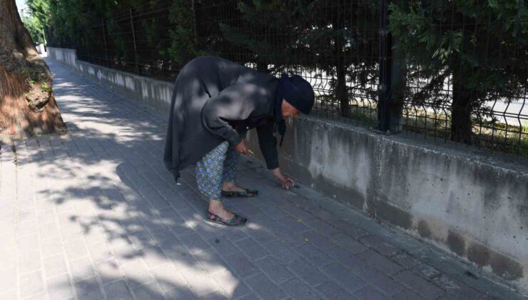 82 yaşındaki Nefise teyzeden örnek çevre hareketi