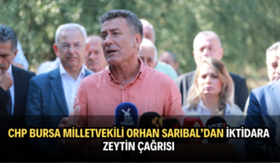 CHP Bursa Milletvekili Orhan Sarıbal’dan iktidara zeytin çağrısı