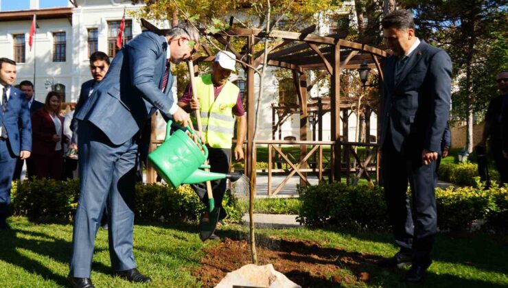 Bakan Işıkhan, Bilecik’te çınar fidanı dikti