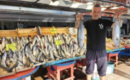 Bandırma Balık Hali’nde palamut bolluğu yaşanıyor