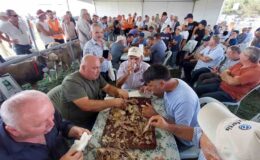 Bu da oğlak yeme yarışması: 10 kilo oğlağı çiğnemeden yediler