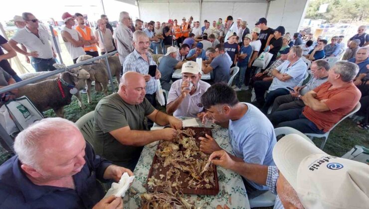 Bu da oğlak yeme yarışması: 10 kilo oğlağı çiğnemeden yediler