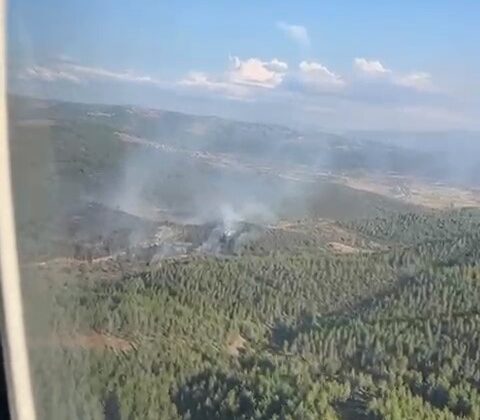 Bursa’da korkutan orman yangını