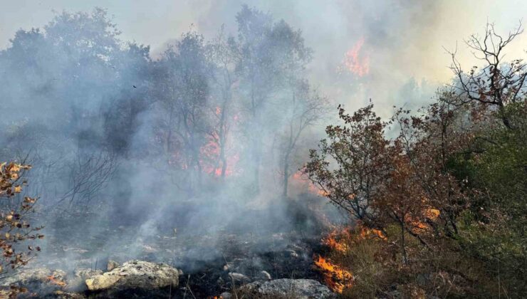 Bursa’da korkutan orman yangını