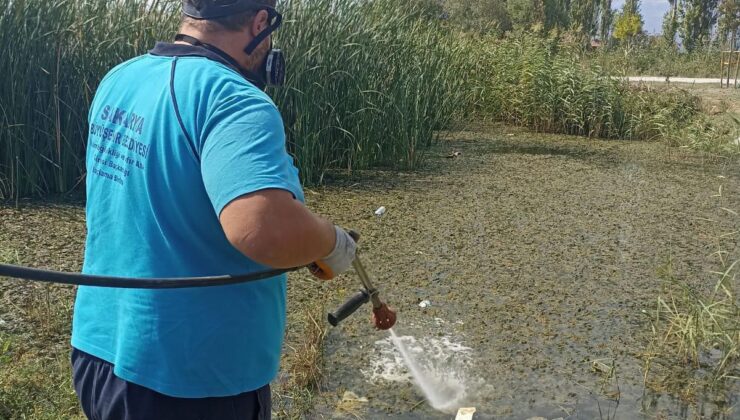 Büyükşehir’in müdahale timi her köşe başında haşereyle mücadelede