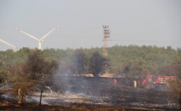 Çanakkale’de tarım arazisinde yangın