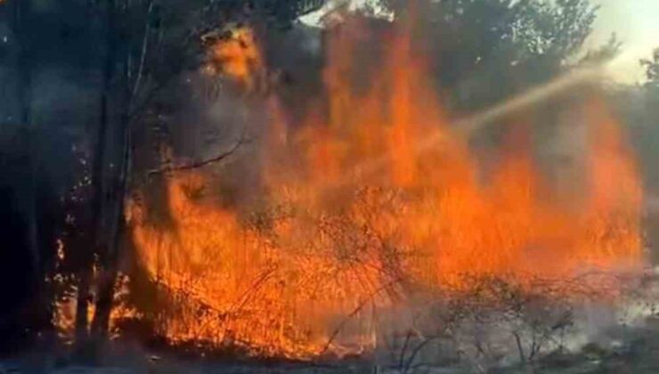 D-100’de ağaçlık alanda çıkan yangın itfaiye ekiplerince söndürüldü