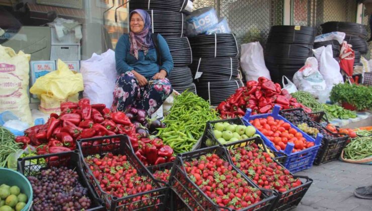 Kaz Dağları’nda yetişen organik ürünler ilçe pazarında satılıyor