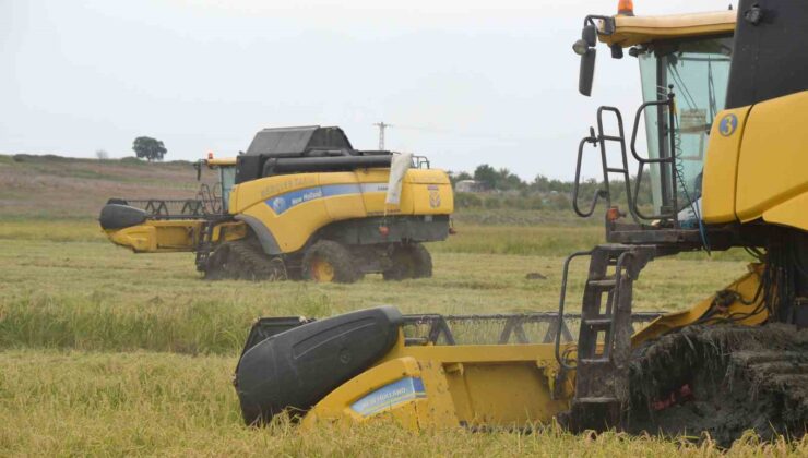 Keşan’da çeltik hasadı başladı