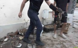 (Özel) Yavru kedi 7 saatlik operasyonla kurtarıldı