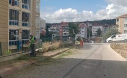 Park bahçe ve oyun alanlarında ot temizliği yapılıyor