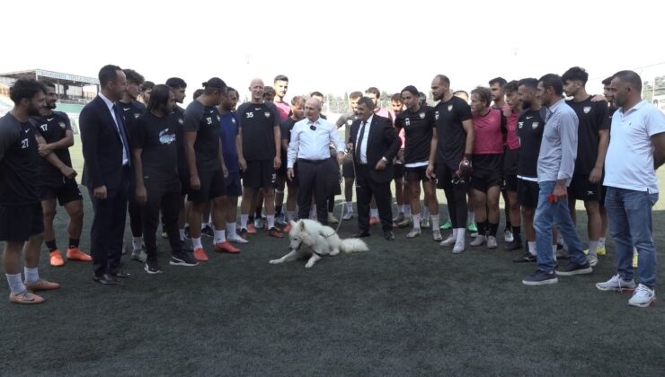 Tepecik Spor’un sahiplendiği sevimli köpek takımın maskotu oldu