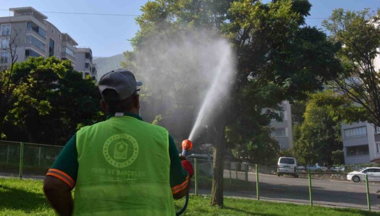 Yıldırım’da ilaçlama çalışmaları devam ediyor
