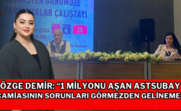 Özge Demir: “1 Milyonu Aşan Astsubay Camiasının Sorunları Görmezden Gelinemez”