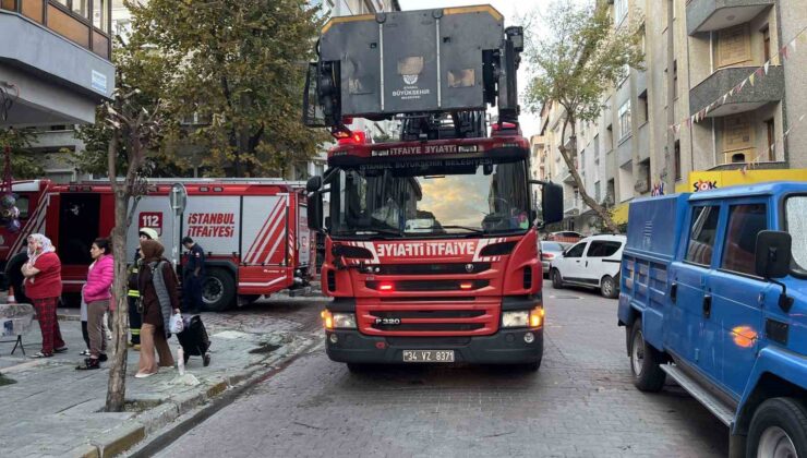 Avcılar’da yangın çıkan dairede mahsur kalan tavşanı itfaiye kurtardı