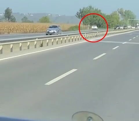 D-650’de ters yönde ilerledi, trafiği böyle tehlikeye attı